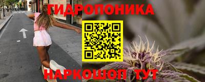 ПСИЛОЦИБИНОВЫЕ ГРИБЫ Балахна
