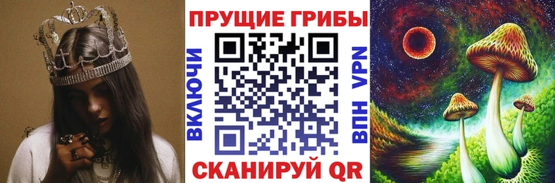 Галлюциногенные грибы GOLDEN TEACHER  Вязьма 