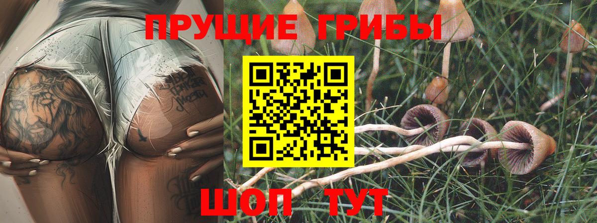 Псилоцибиновые грибы мухоморы  Галлюциногенные грибы Cubensis  Вход с VPN  Вязьма 